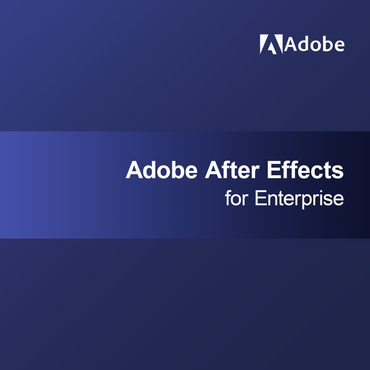 Adobe After Effects pro podniky