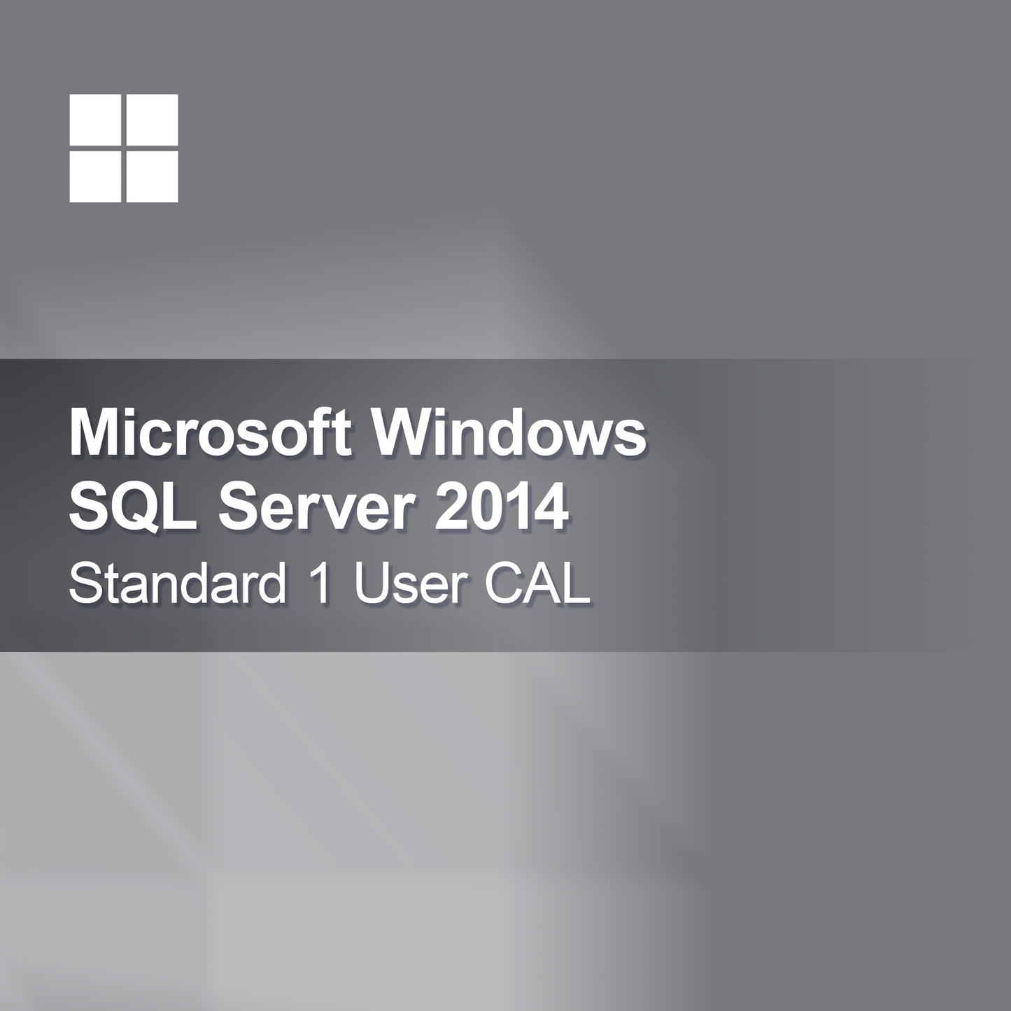Microsoft SQL Server 2014 Standard 1 Χρήστης CAL